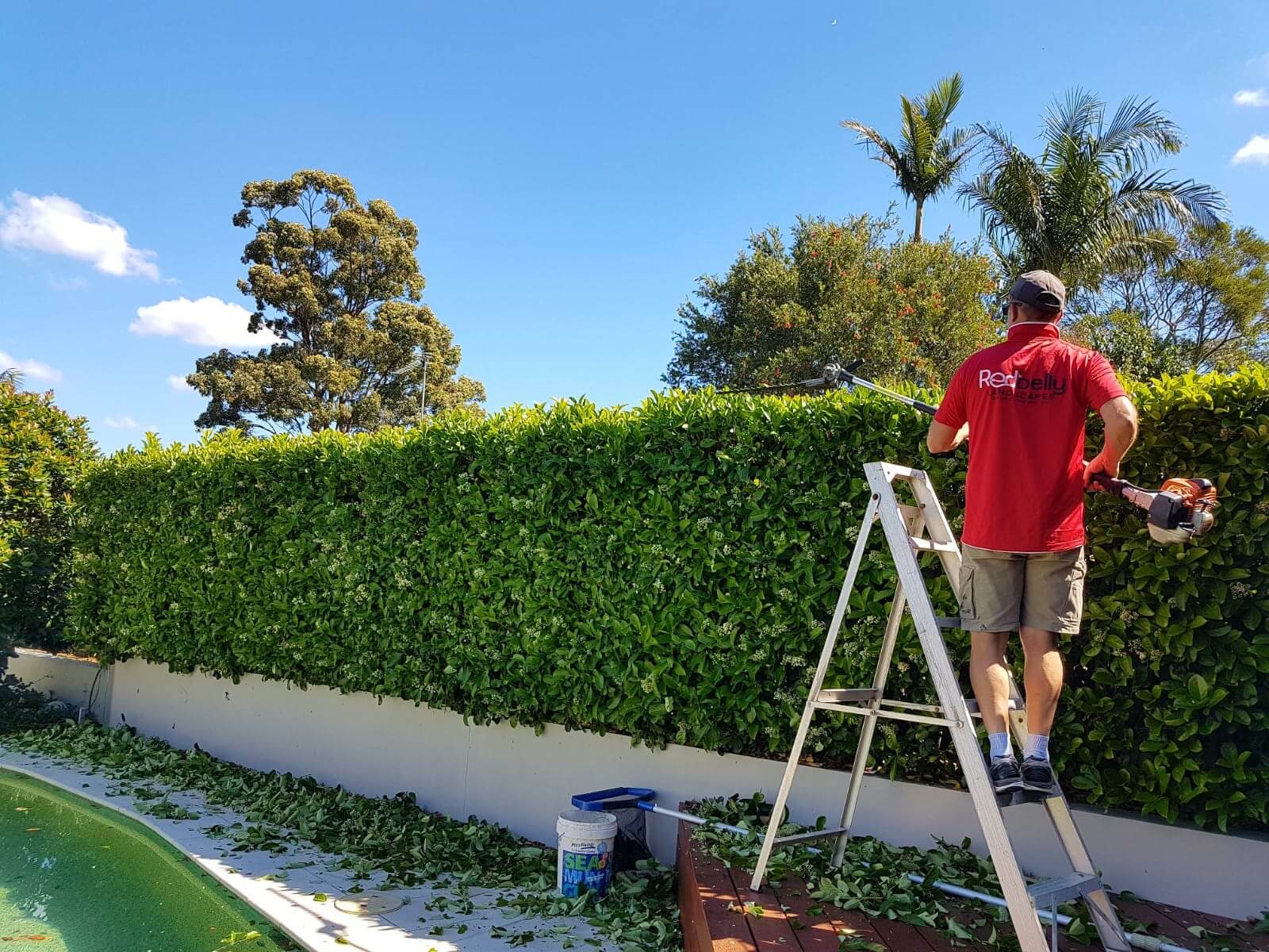 Redbelly Landscapes - Hedge Trimming Services